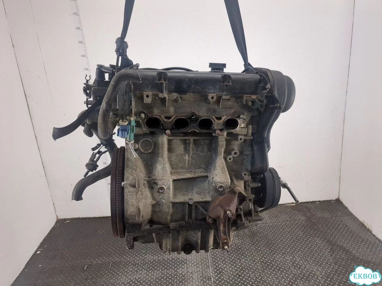 Двигатель Ford Focus 2 hwda, hwdb фото 5