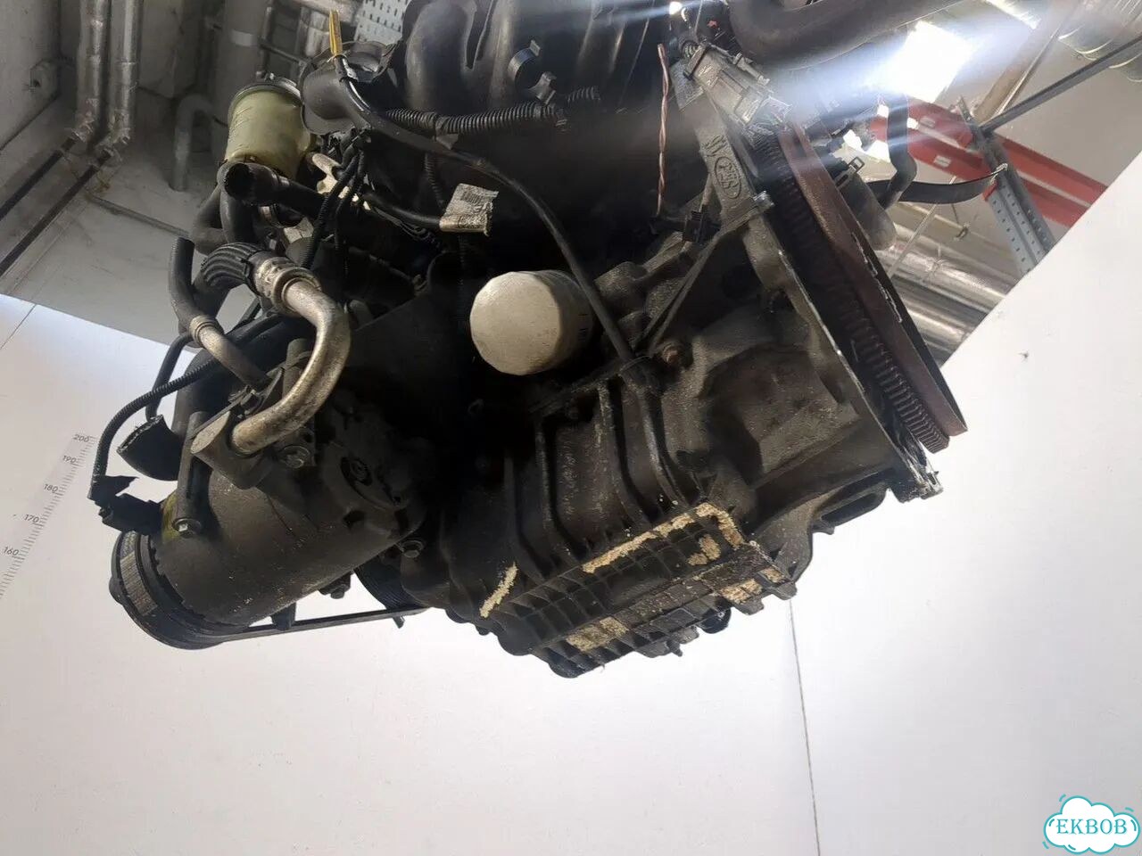 Двигатель Ford Focus 2 hwda, hwdb фото 7
