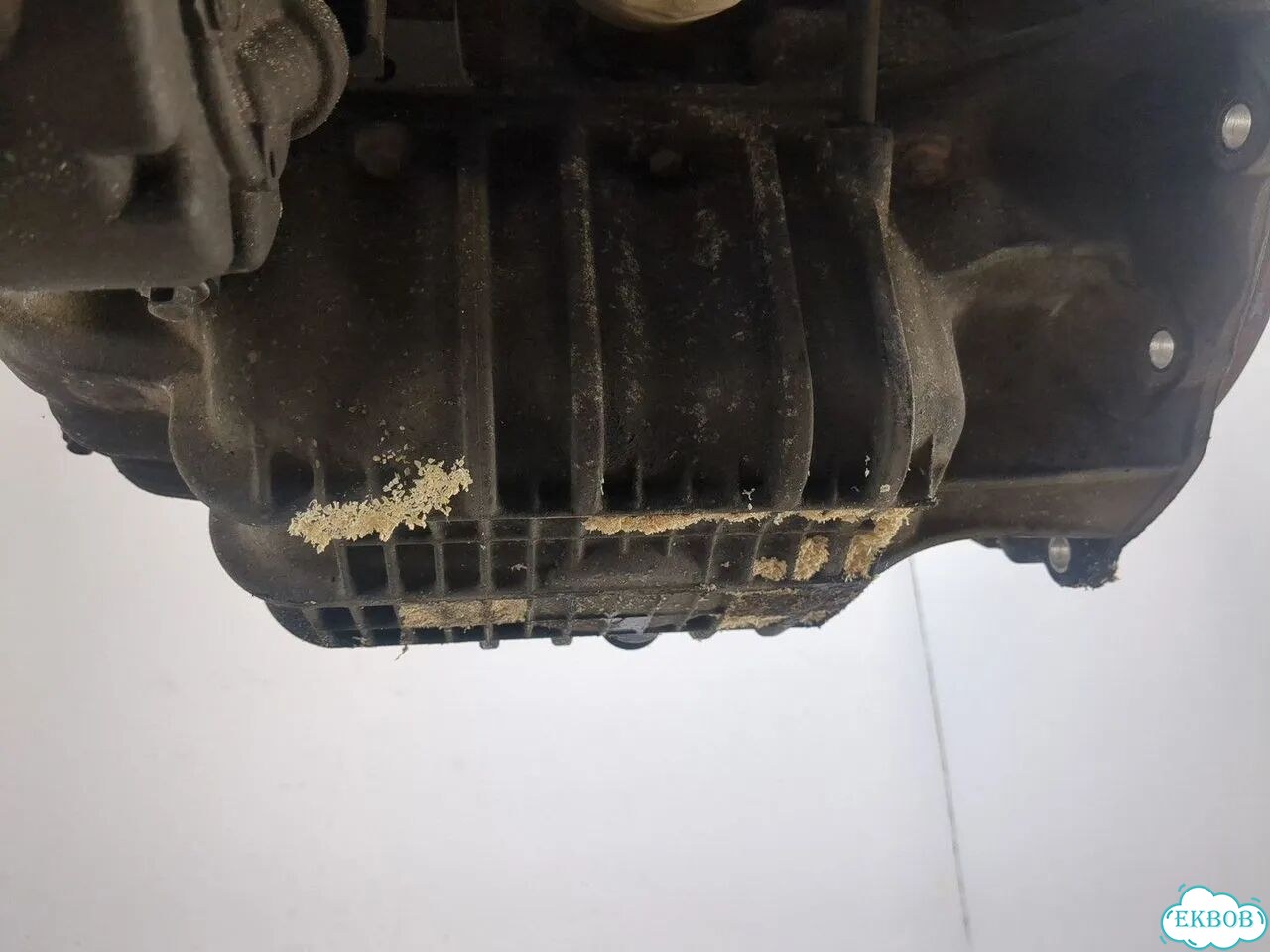 Двигатель Ford Focus 2 hwda, hwdb фото 8
