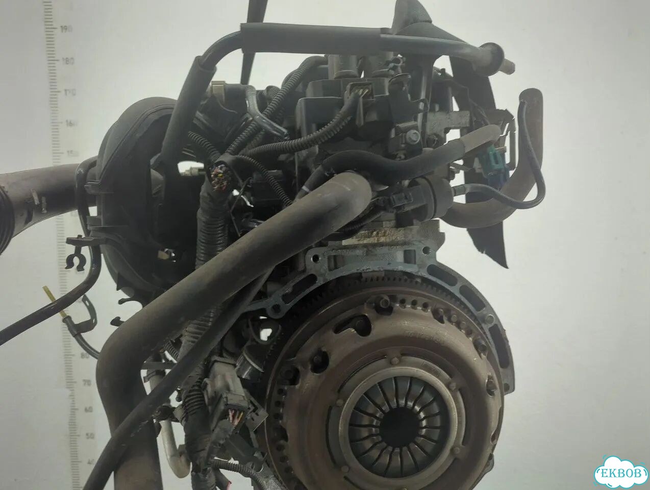 Двигатель Ford Focus 2 hwda, hwdb фото 4