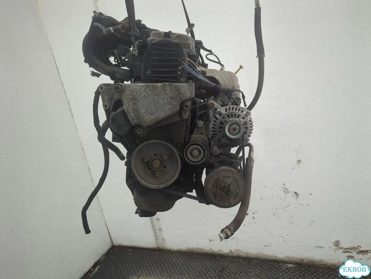 Двигатель Citroen C3 KFT фото 1