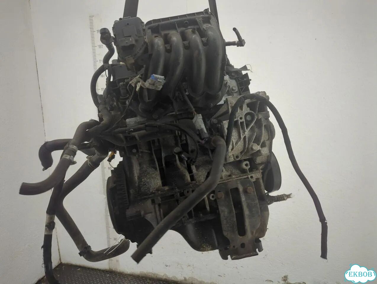 Двигатель Citroen C3 KFT фото 3