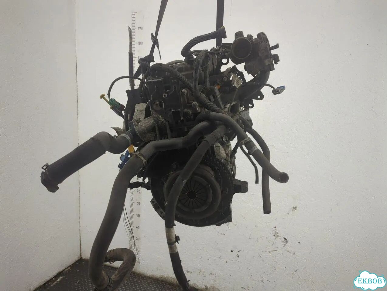 Двигатель Citroen C3 KFT фото 4