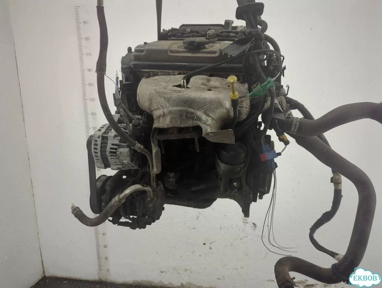 Двигатель Citroen C3 KFT фото 5