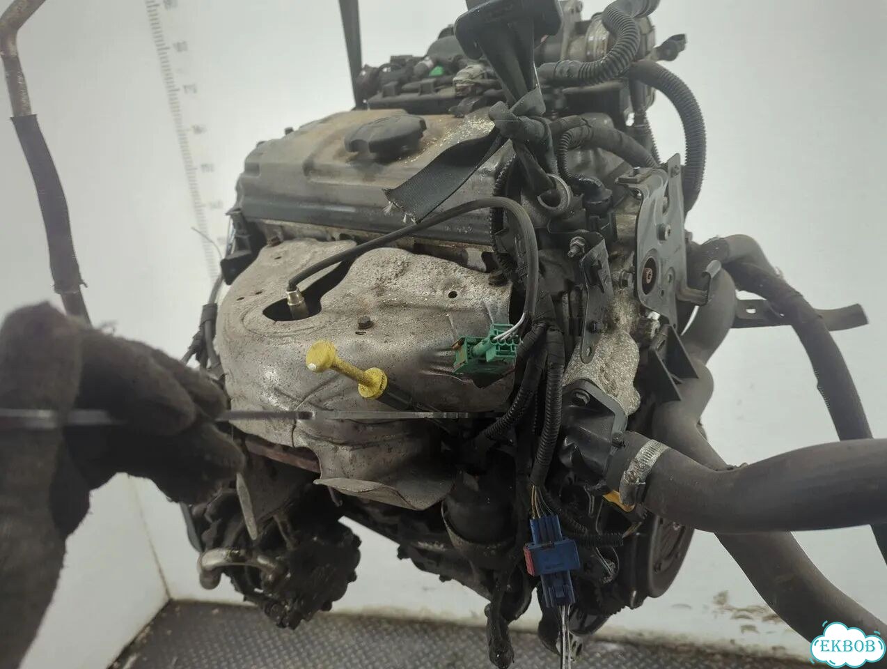 Двигатель Citroen C3 KFT фото 9
