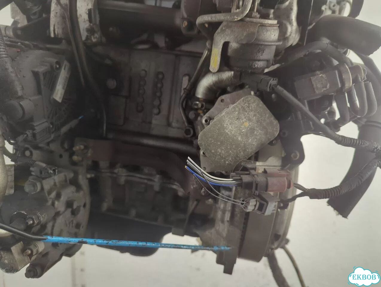 Двигатель Ford Focus 3 T1DB фото 4