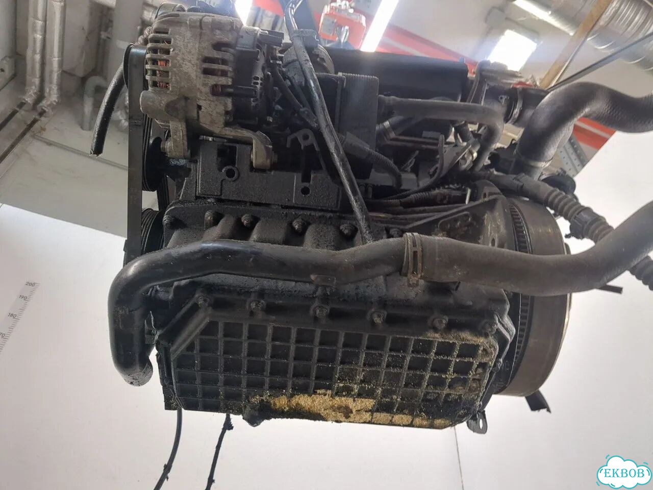 Двигатель Land Rover Freelander 1 TD4 204D3 фото 7