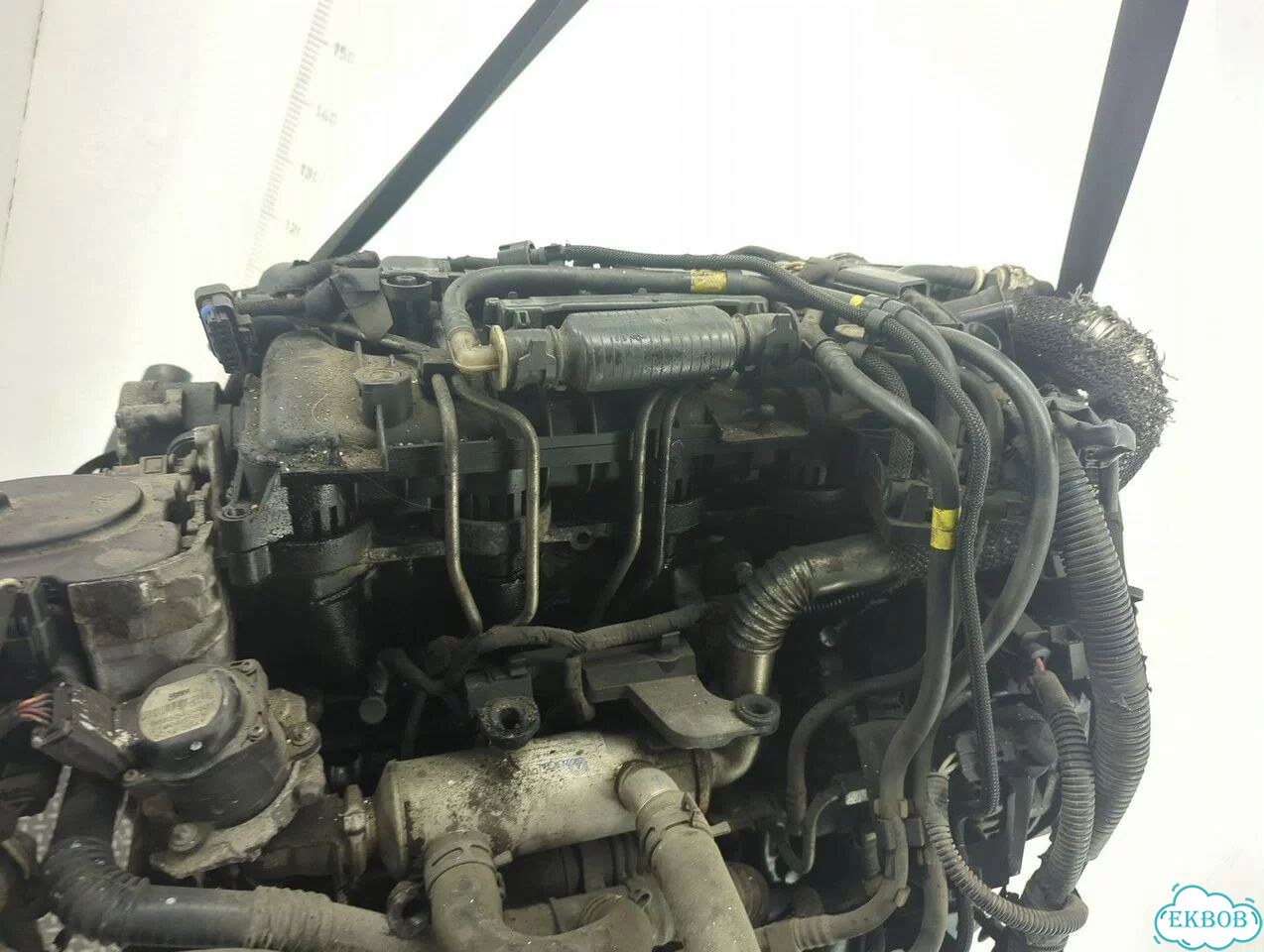 Двигатель Citroen C4 Grand Picasso 9HY, 9HZ фото 6