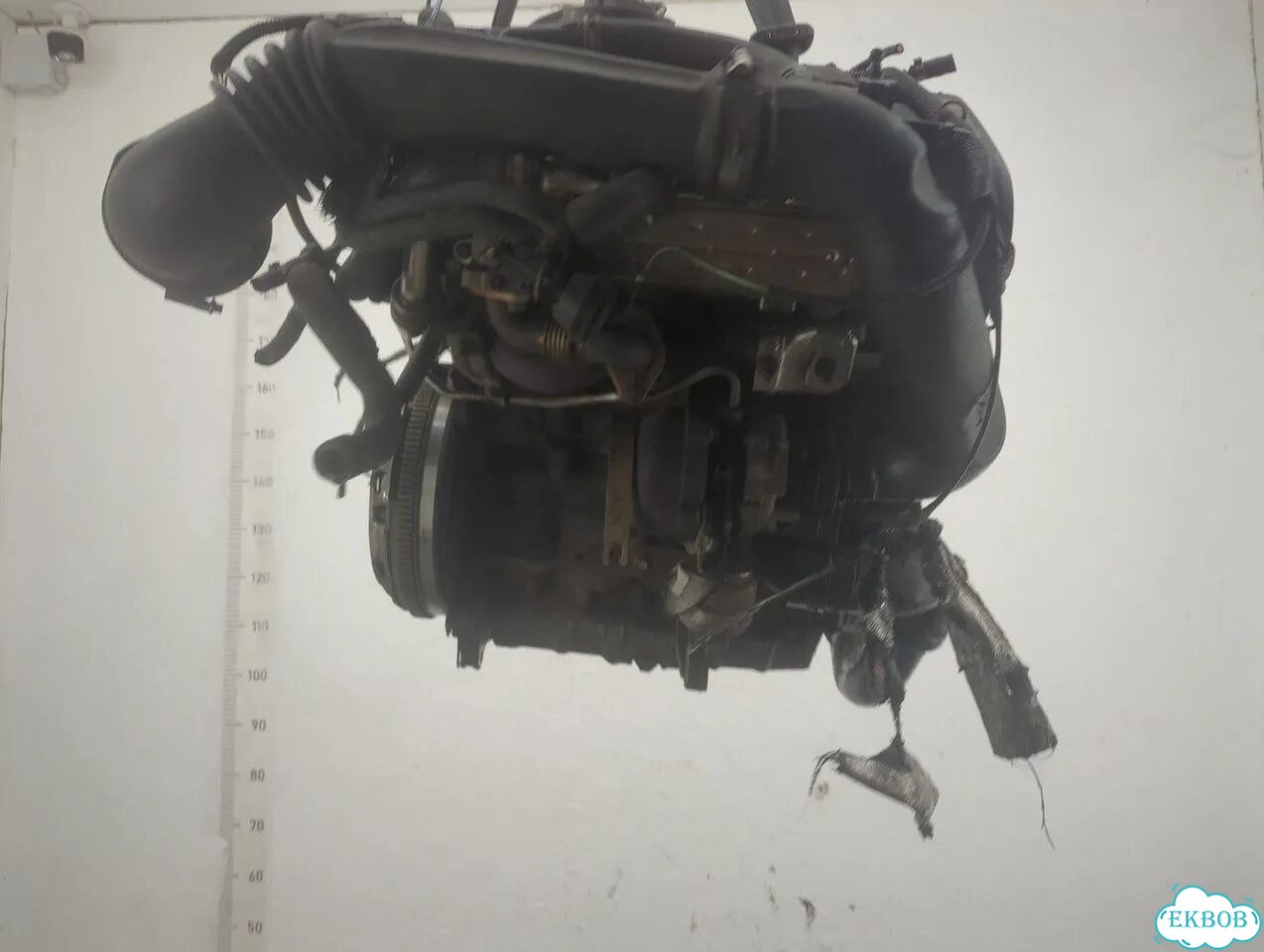Двигатель Dodge Caliber ECD, ECE фото 3