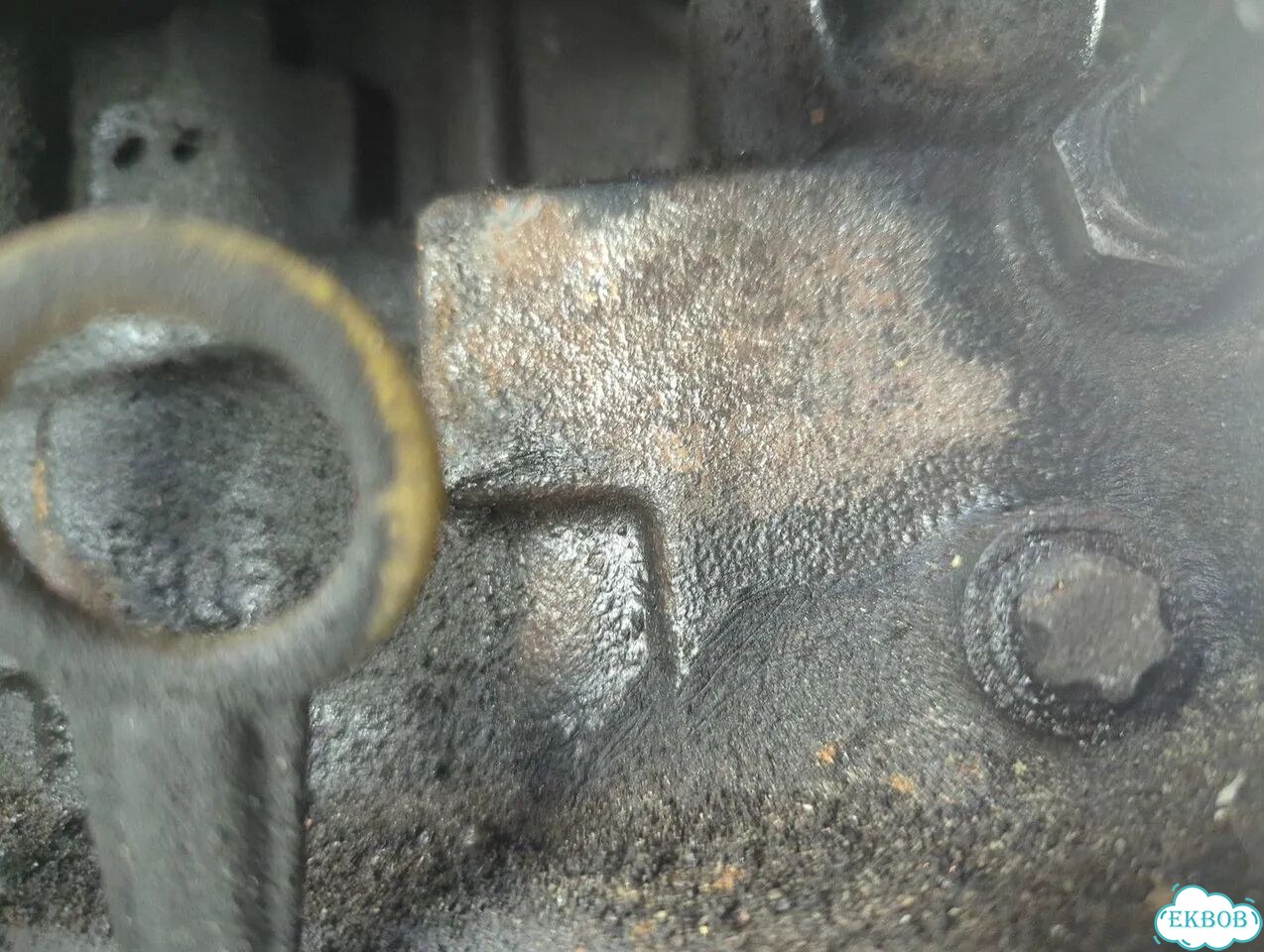 Двигатель Renault Scenic K4M 813 фото 10