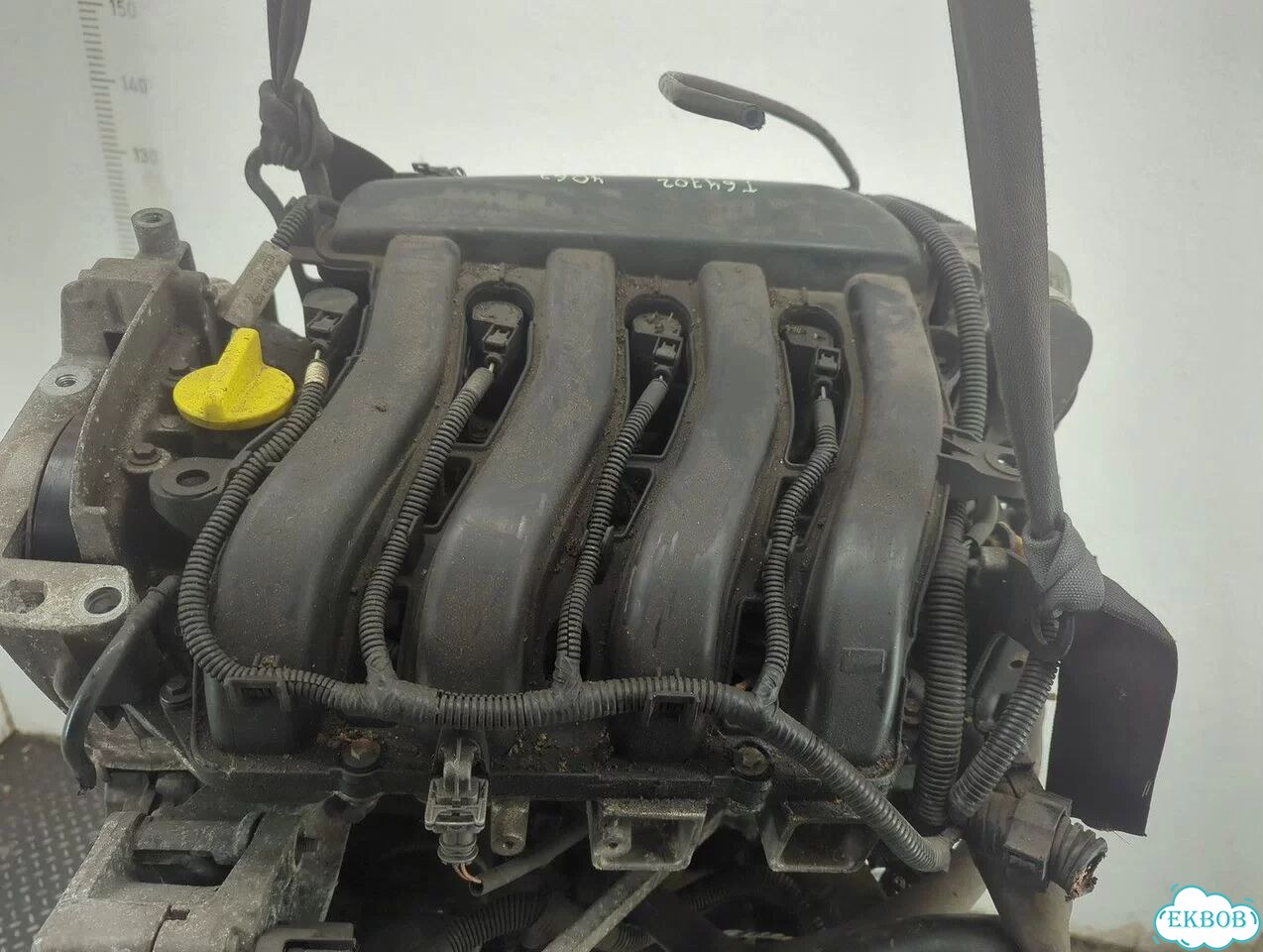 Двигатель Renault Scenic K4M 813 фото 5