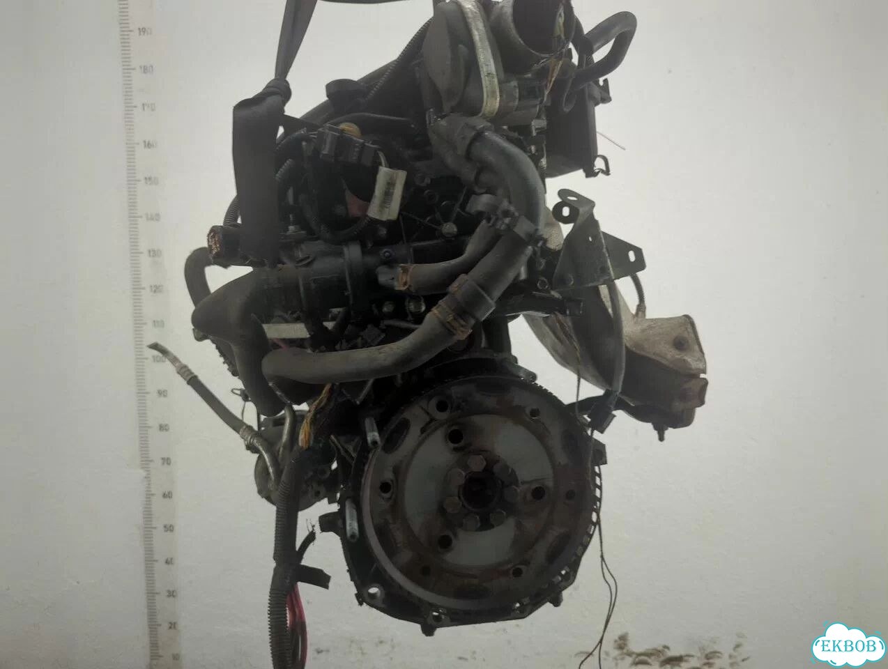 Двигатель Renault Scenic K4M 813 фото 6