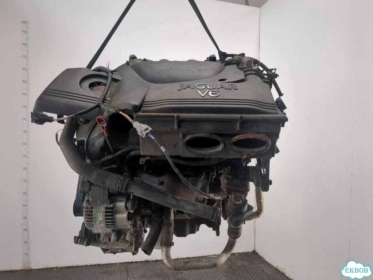 Двигатель Jaguar X-Type YB фото 2
