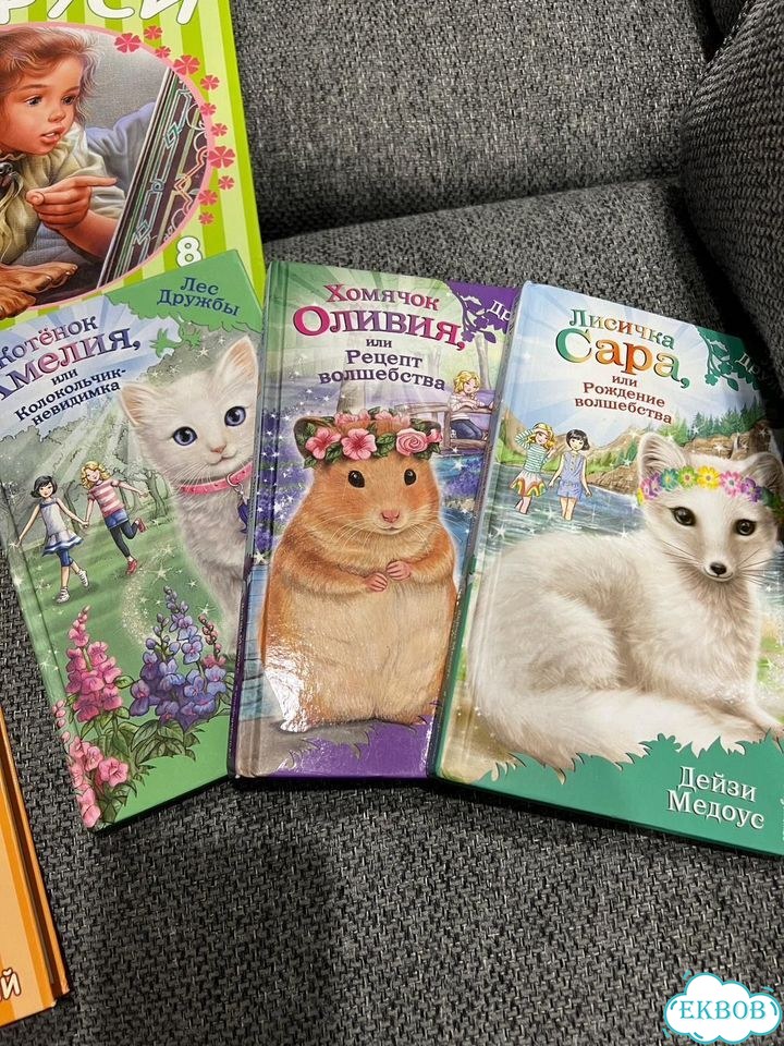 Детские Книги про Марусю. Лес дружбы фото 2