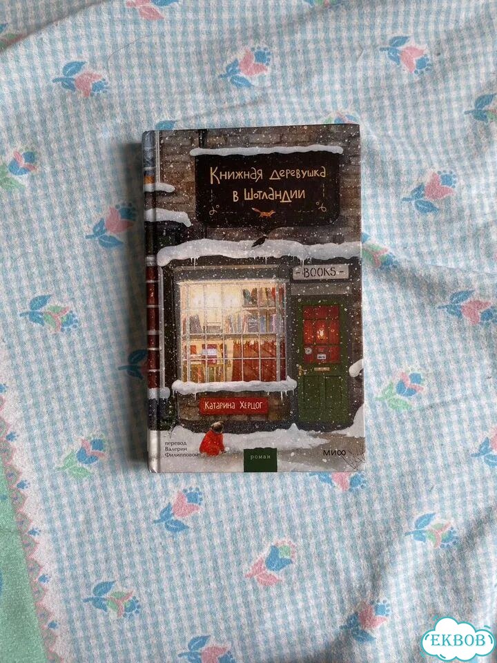 Книга Книжная деревушка в Шотландии зима фото 1