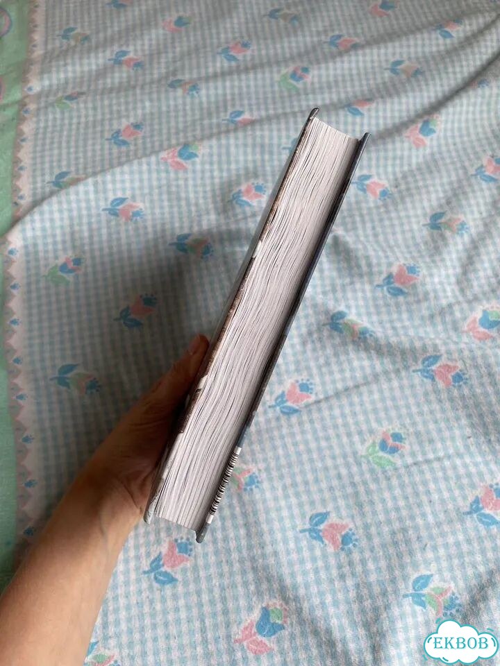 Книга Книжная деревушка в Шотландии зима фото 2