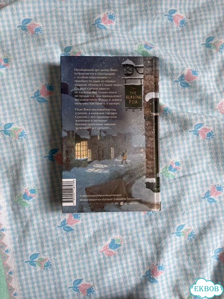Книга Книжная деревушка в Шотландии зима фото 3