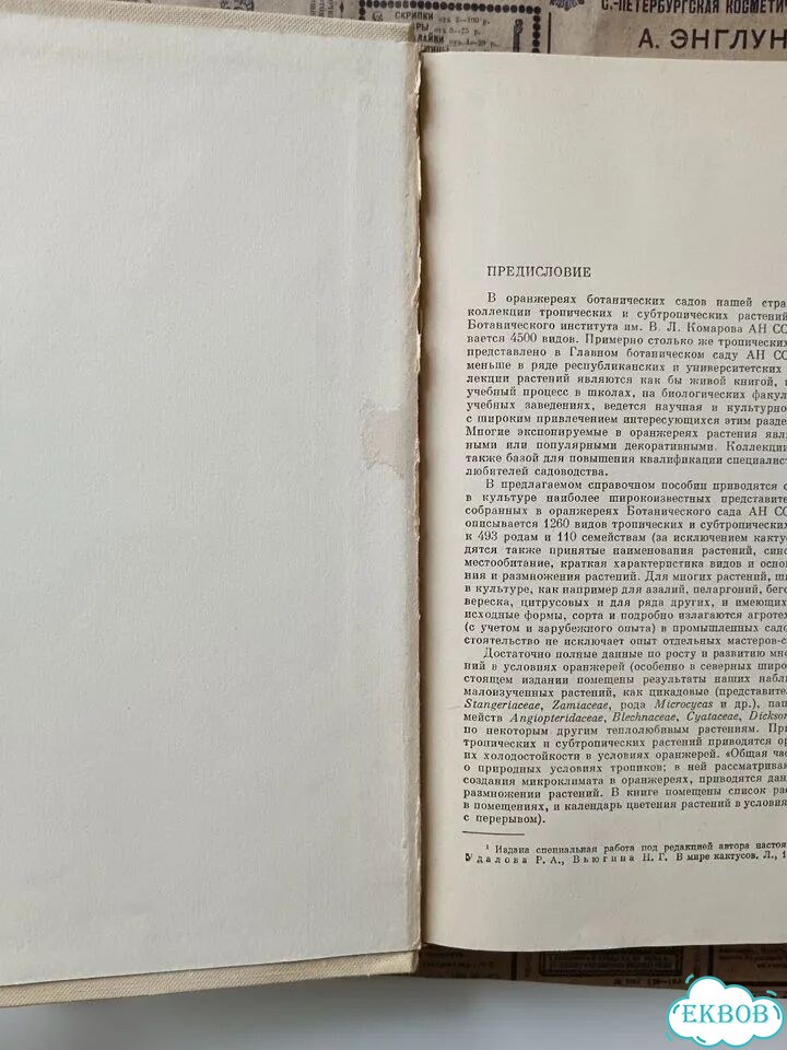Оранжерейные и комнатные растения /Сааков. С. Г фото 2
