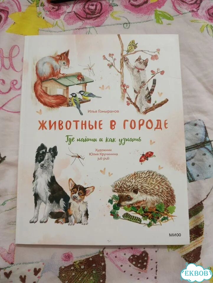Животные в городе фото 1