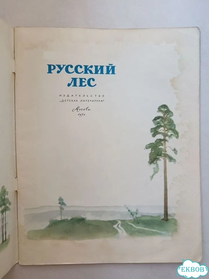 И. Соколов-Микитов Русский лес 1971 детская фото 3
