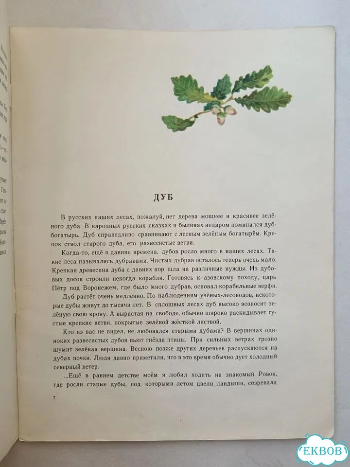 И. Соколов-Микитов Русский лес 1971 детская фото 4