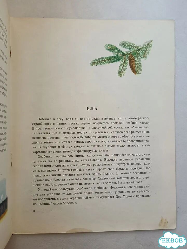 И. Соколов-Микитов Русский лес 1971 детская фото 5