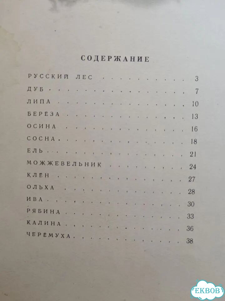 И. Соколов-Микитов Русский лес 1971 детская фото 7