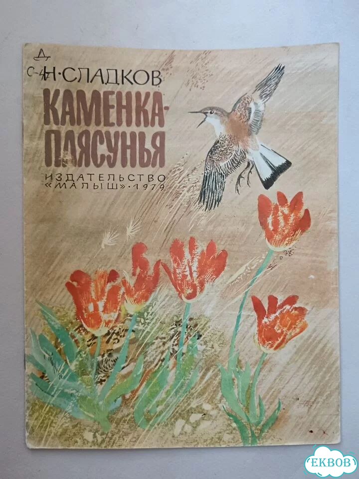 Н. Сладков Каменка-плясунья 1979 детская фото 1