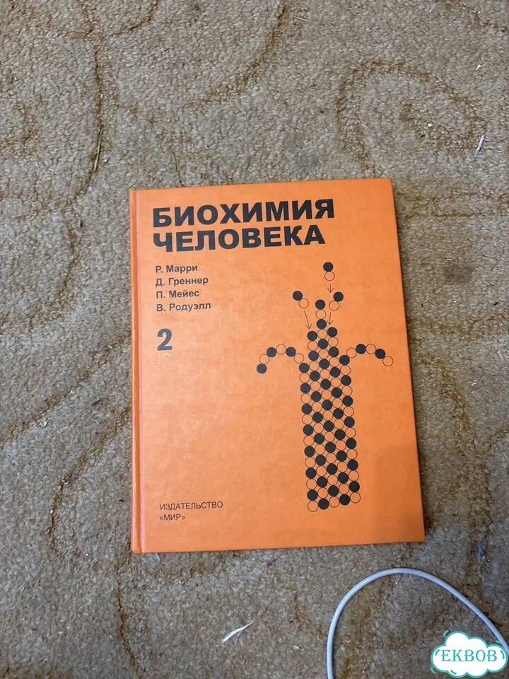 Биохимия человека марри том 2 фото 1
