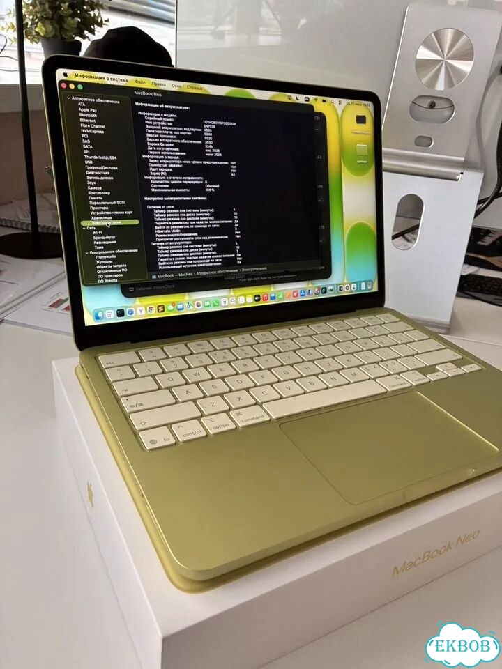 Macbook neo 256 гб citrus фото 2
