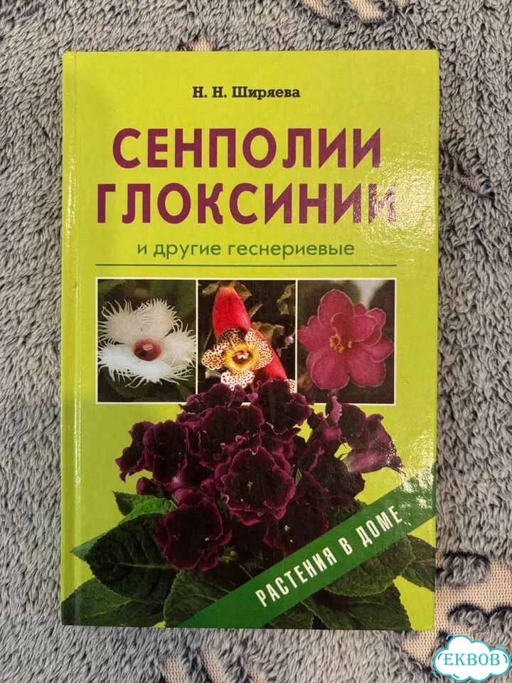 Сенполии и глоксинии фото 1