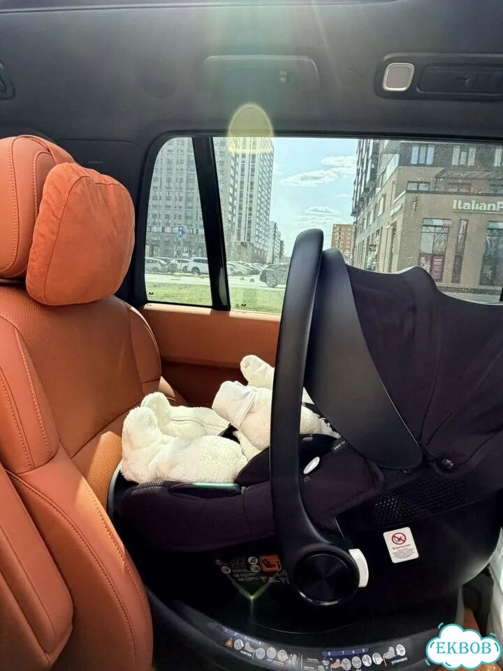 Коляска 2 в 1 Happy Baby Kidlander фото 10