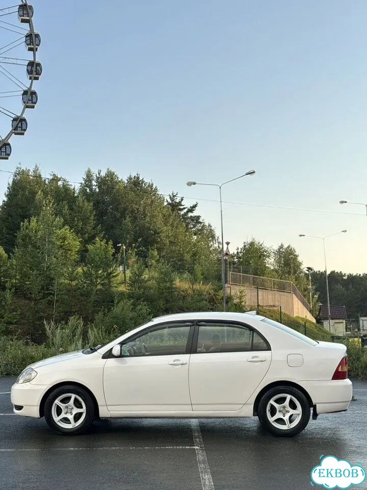 Toyota Corolla 1.5 AT, 2001, 316 115 км фото 5