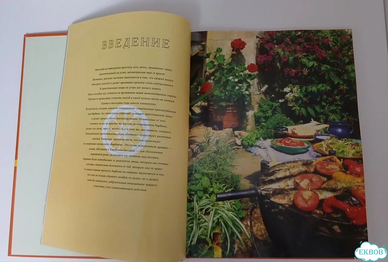 Книга Барбекю и гриль Кристин Франс фото 4