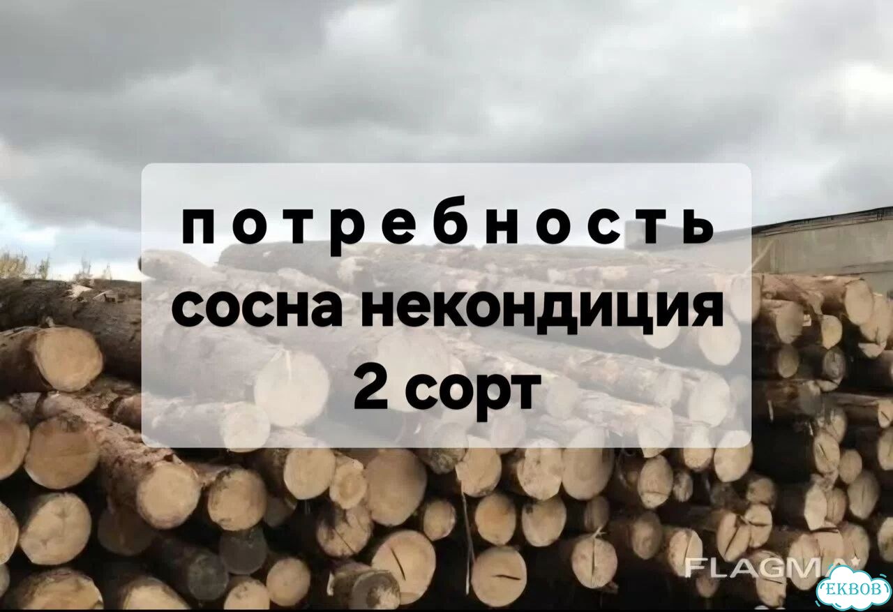 Лес пиловочник кругляк фото 1
