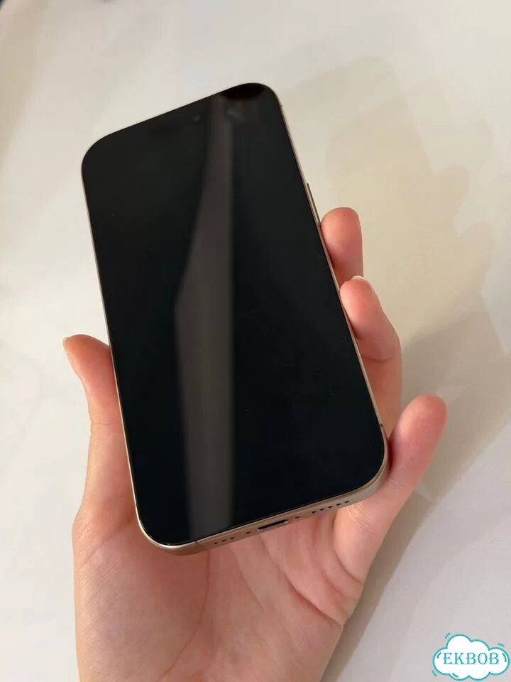 iPhone 16 Pro, 256 ГБ, SIM + eSIM фото 10