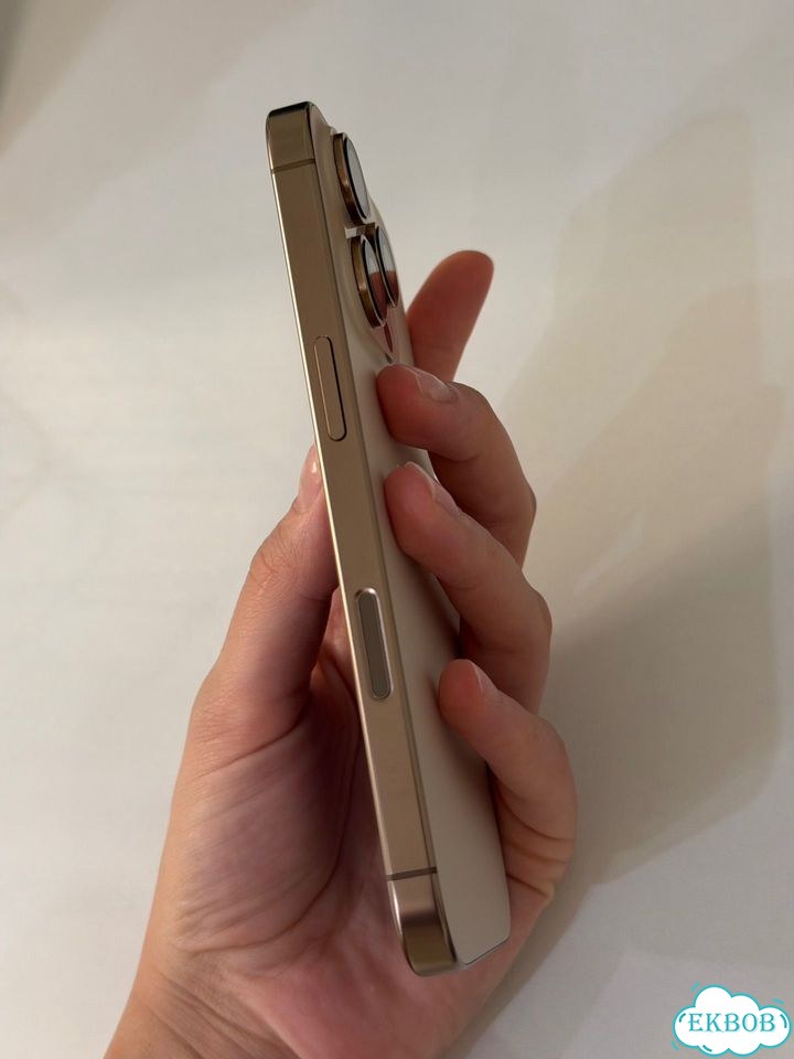 iPhone 16 Pro, 256 ГБ, SIM + eSIM фото 3