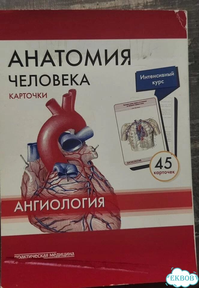 Карточки анатомические фото 1