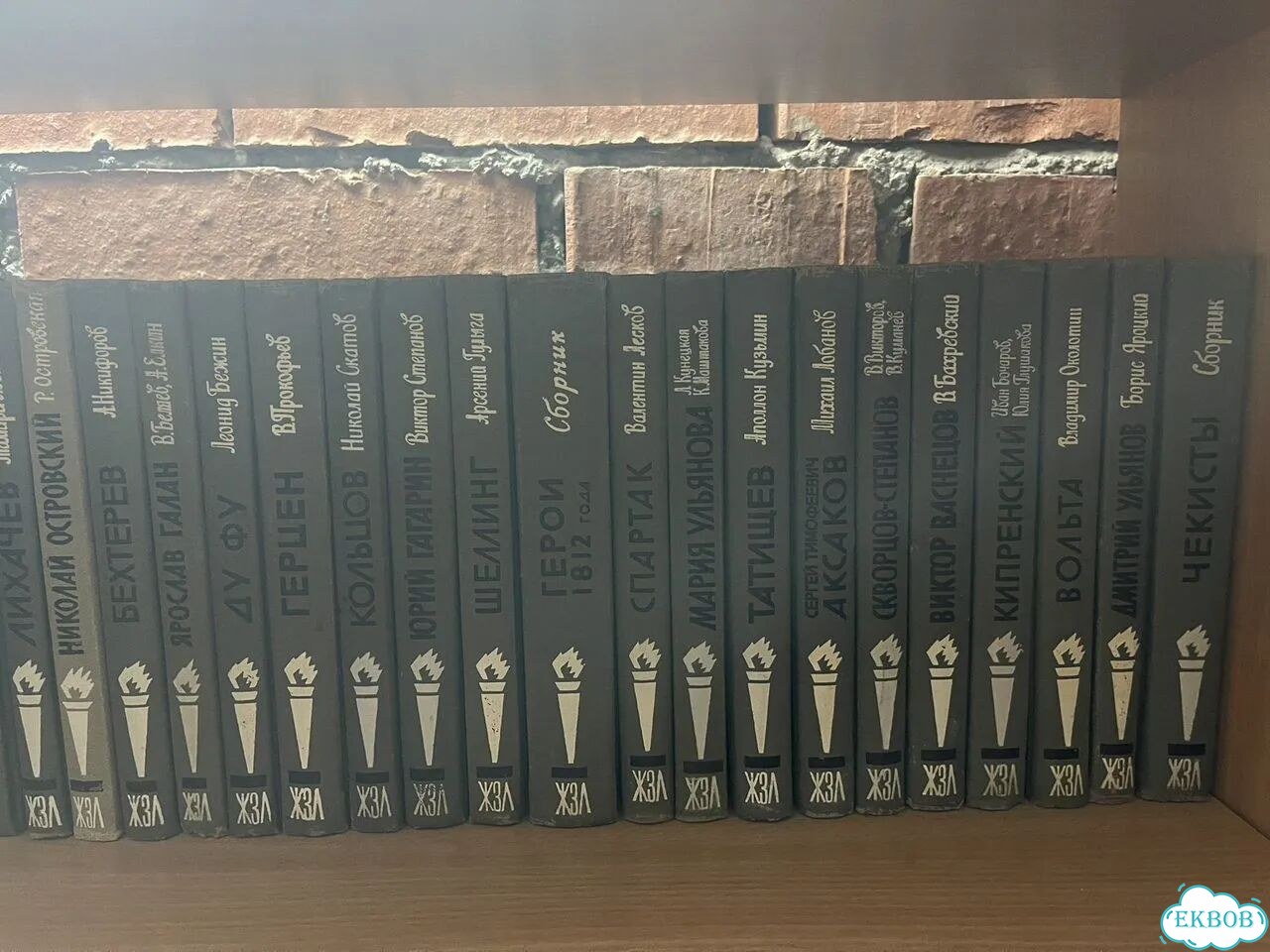 Книги жзл фото 10