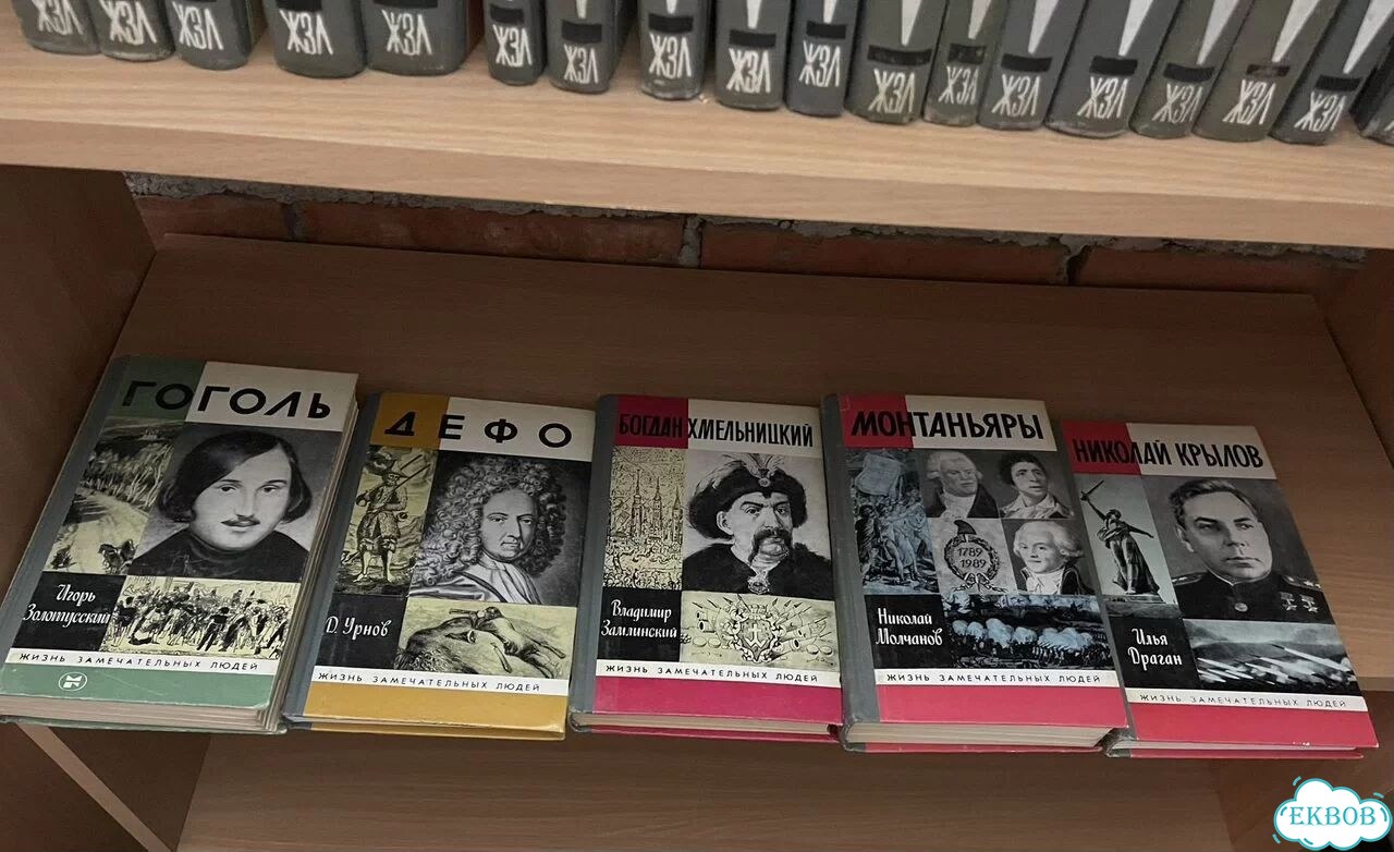 Книги жзл фото 3