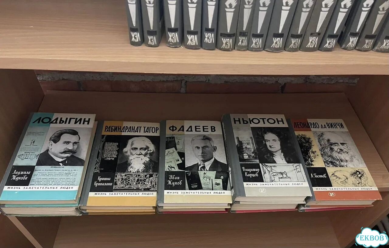 Книги жзл фото 4