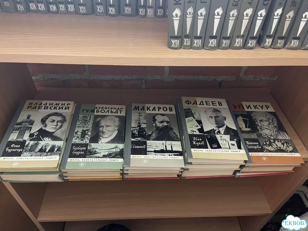 Книги жзл фото 5