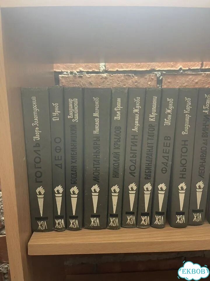 Книги жзл фото 6