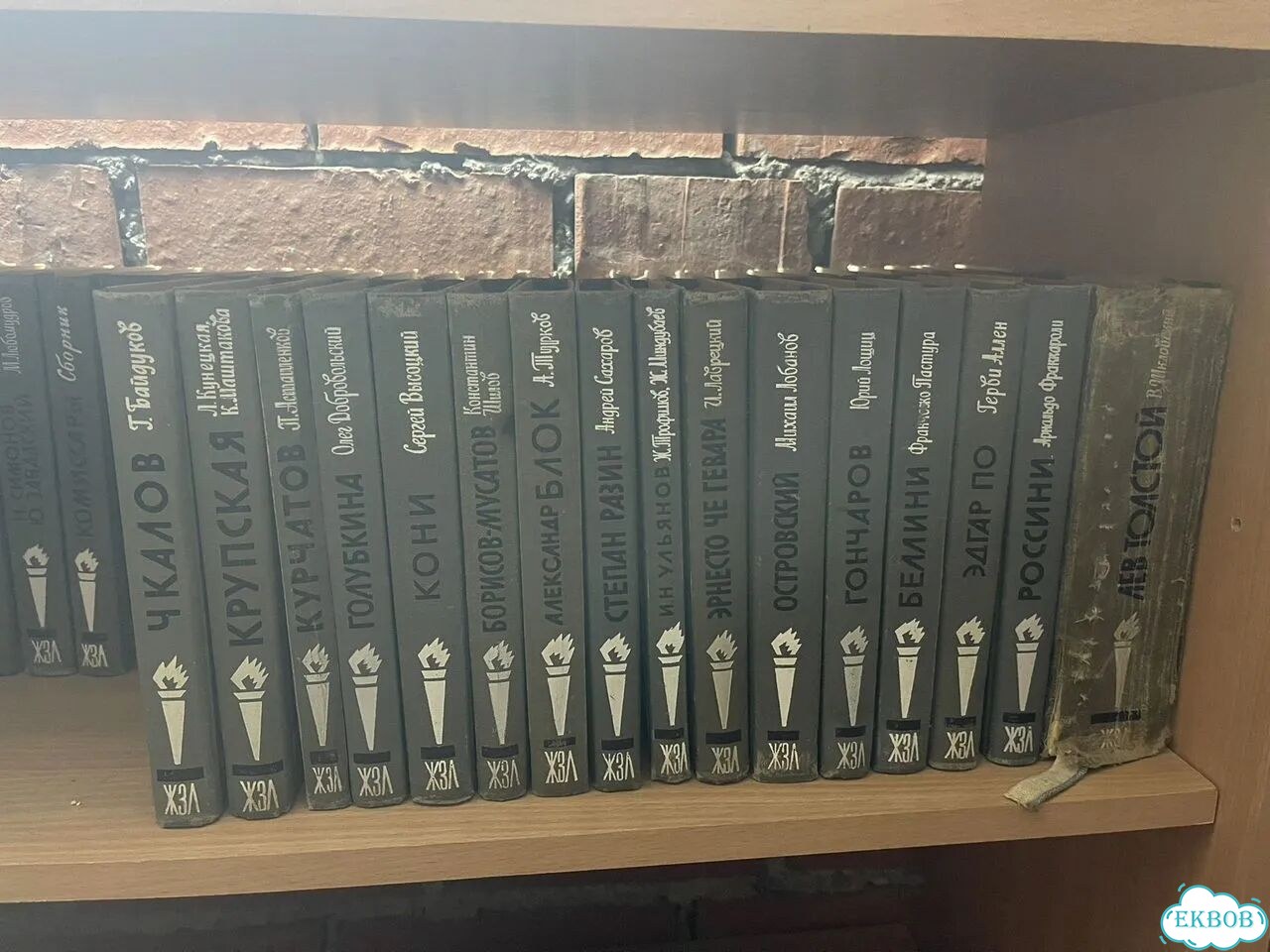 Книги жзл фото 7