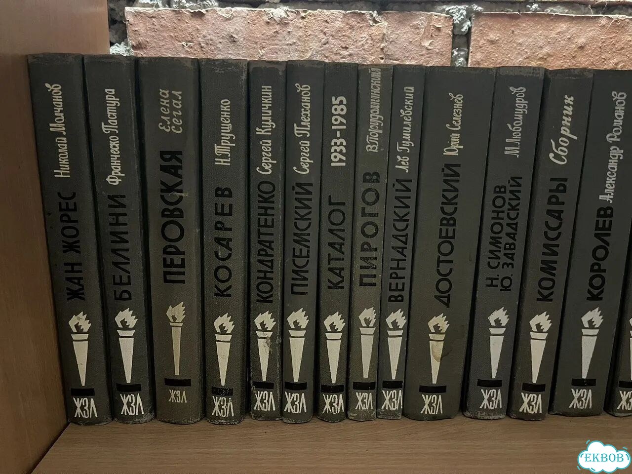 Книги жзл фото 8