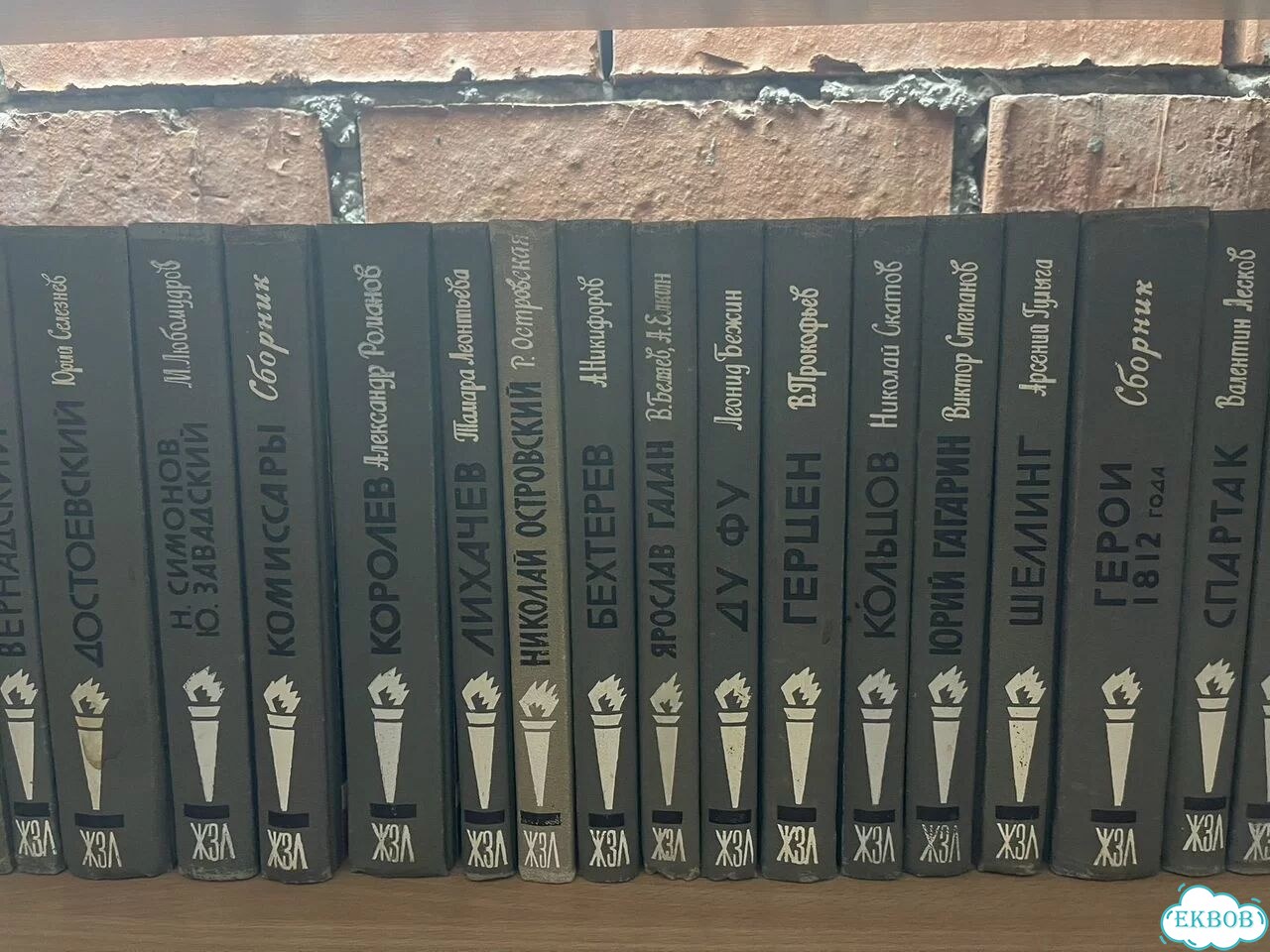Книги жзл фото 9
