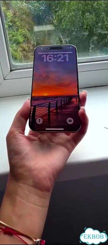 iPhone 16 Pro Max, 256 ГБ, SIM + eSIM фото 1