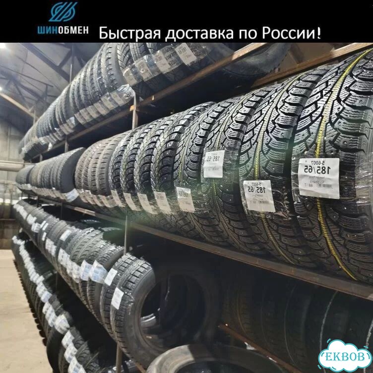 Formula Ice 195/65 R15 91M фото 1