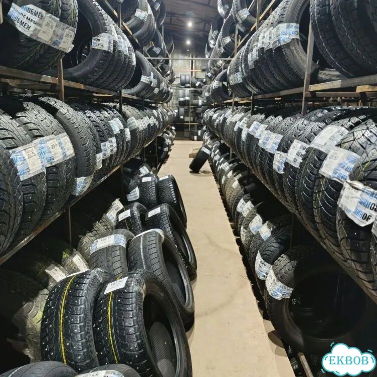 Formula Ice 195/65 R15 91M фото 2