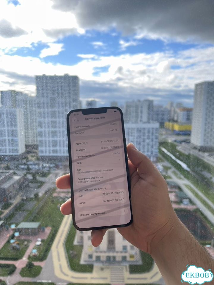 iPhone 12 Pro Max, 256 ГБ, SIM + eSIM фото 7